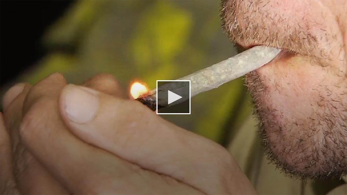 Driving experts turn attention to Marijuana use